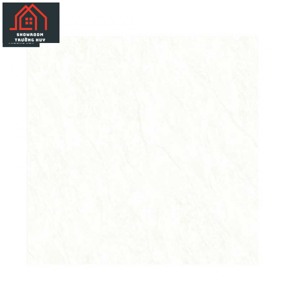 GẠCH ĐỒNG TÂM 6060DA004-FP  