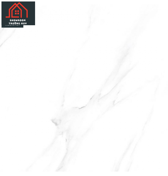 GẠCH ĐỒNG TÂM 6060DA007-FP  