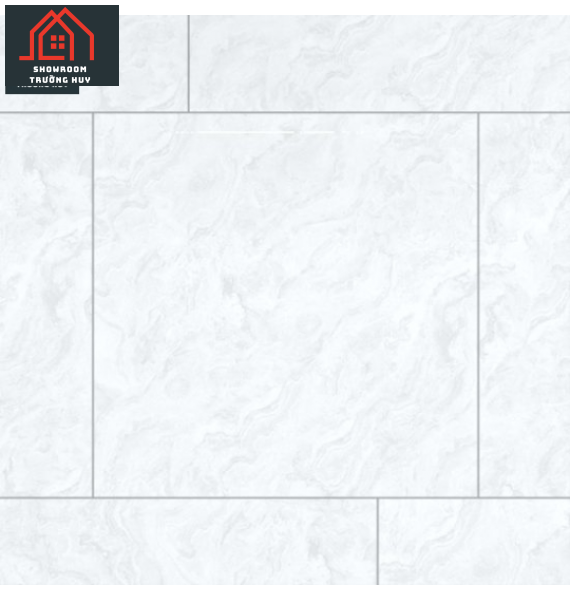 GẠCH PORCELAIN KHÁNG KHUẨN 6060DONGVAN001-FP-H+ 