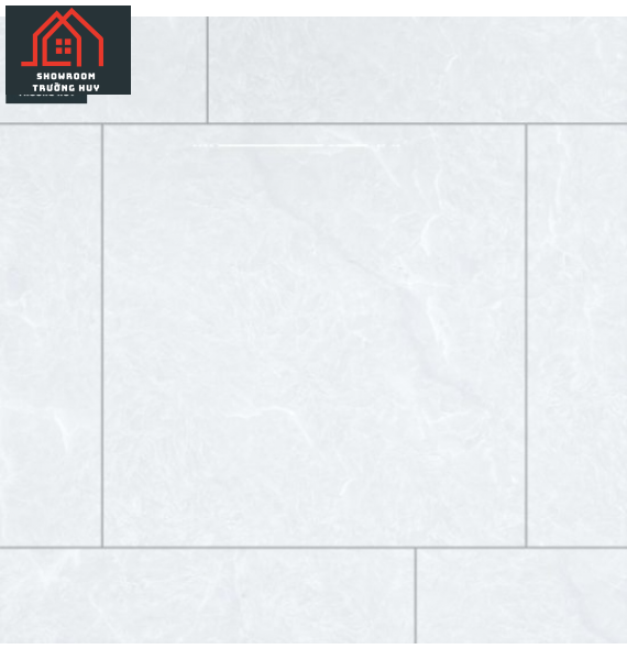 GẠCH PORCELAIN KHÁNG KHUẨN 6060DONGVAN002-FP-H+ 