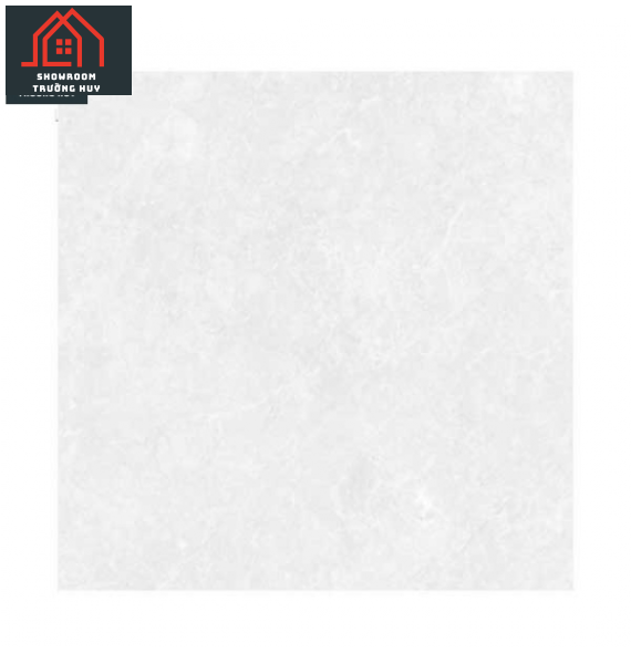 Gạch Đồng Tâm 6060TAMDAO002 