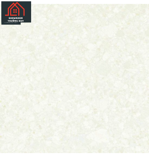 GẠCH ĐỒNG TÂM 6060TRUONGSON004-FF  
