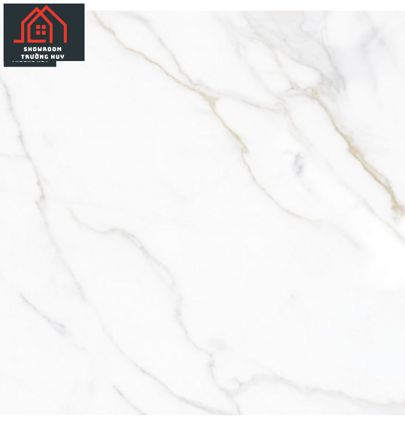 GẠCH PORCELAIN 6060VAMCODONG003