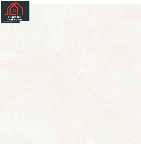 GẠCH PORCELAIN 6060VAMCODONG006-FP 