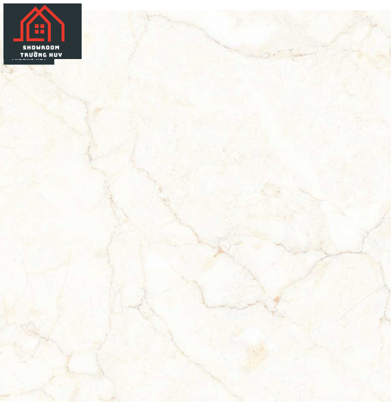 Gạch đồng tâm 6060VAMCOTAY001 