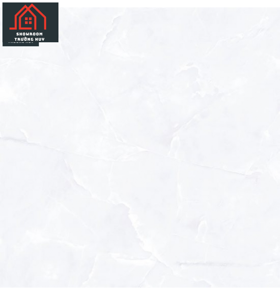 GẠCH ĐỒNG TÂM 6060VAMCOTAY002 