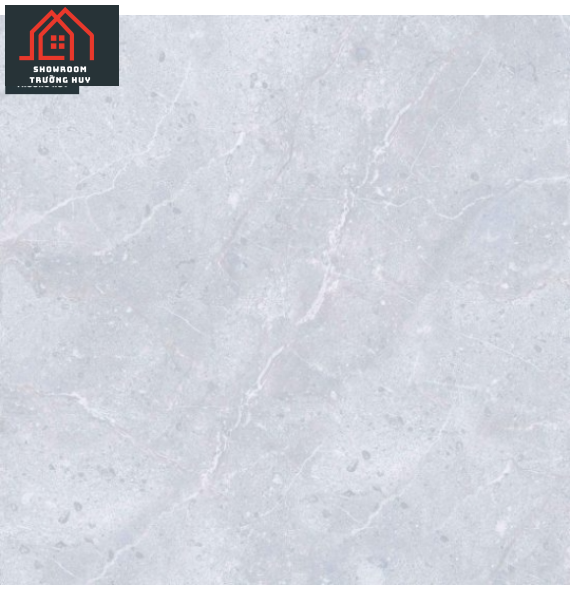 GẠCH ĐỒNG TÂM 6060VAMCOTAY003  