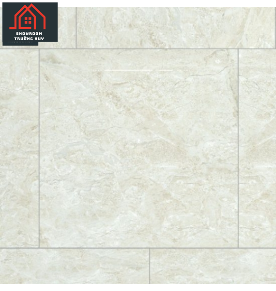 GẠCH ĐỒNG TÂM PORCELAIN KHÁNG KHUẨN 8080DONGVAN003-FP-H+  
