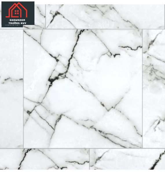  GẠCH ĐỒNG TÂM PORCELAIN KHÁNG KHUẨN 8080DONGVAN004-FP-H+