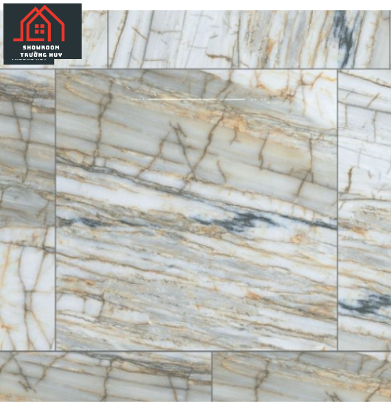  GẠCH ĐỒNG TÂM PORCELAIN KHÁNG KHUẨN 8080DONGVAN005-FP-H+  
