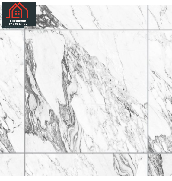 GẠCH ĐỒNG TÂM PORCELAIN KHÁNG KHUẨN 8080DONGVAN006-FP-H+ 
