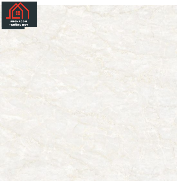  GẠCH ĐỒNG TÂM PORCELAIN 8080FANSIPAN002-FP-H+  
