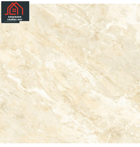 GẠCH ĐỒNG TÂM PORCELAIN 8080FANSIPAN005-FP-H+  