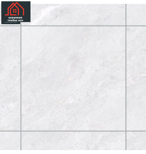 GẠCH ĐỒNG TÂM PORCELAIN KHÁNG KHUẨN 8080PHARAON002-H+  