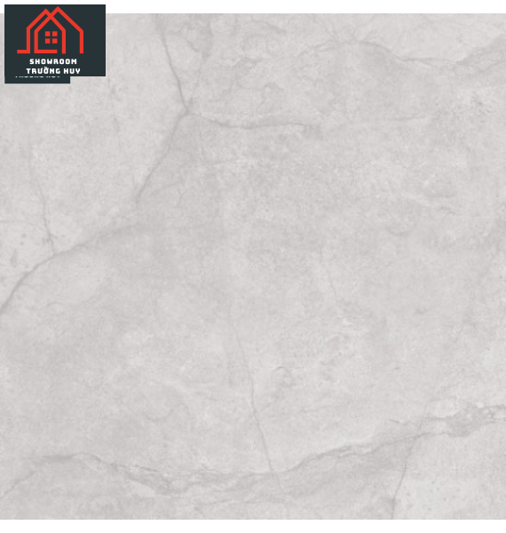 GẠCH ĐỒNG TÂM PORCELAIN 8080ROME003-H+  