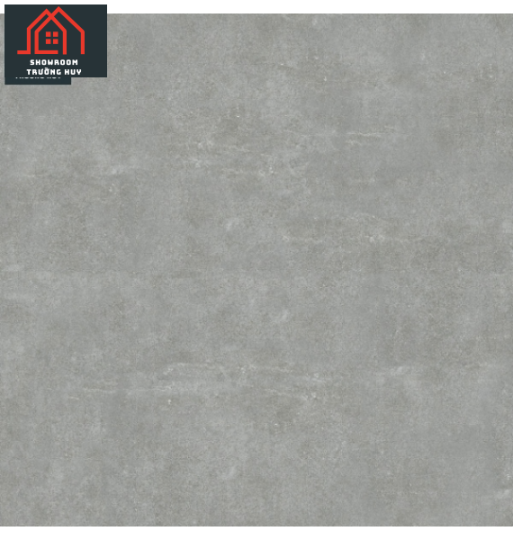 60×60 GRANITE 6060Moment011 