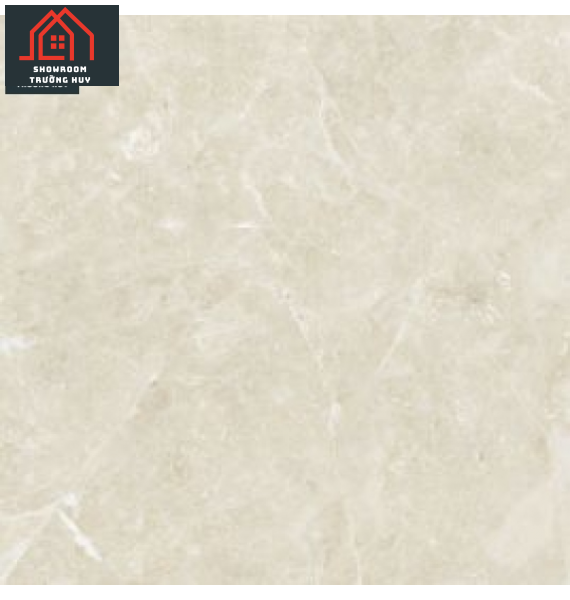 GẠCH ĐỒNG TÂM 6060TRUONGSON005-FP  