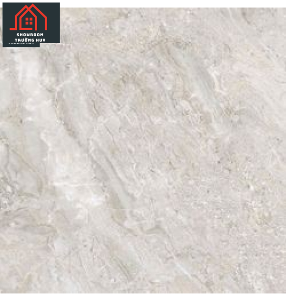 GẠCH ĐỒNG TÂM DTD6060TRUONGSON002-FP 