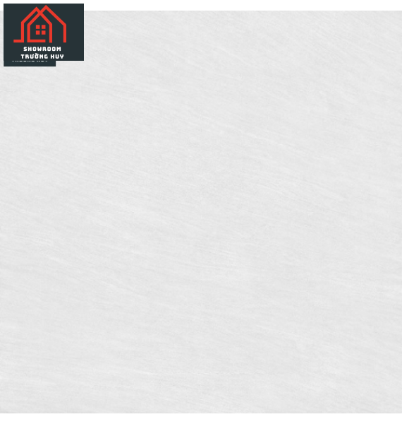 GẠCH ĐỒNG TÂM 6060VAMCODONG001-FP