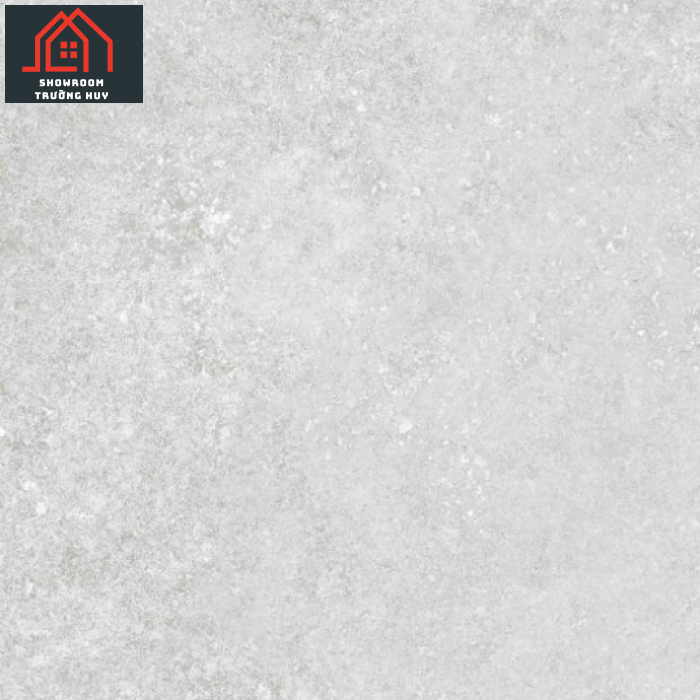 GẠCH ĐỒNG TÂM 3060VAMCOTAY004  