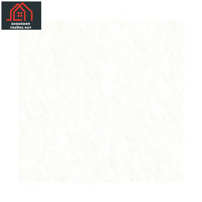 GẠCH ĐỒNG TÂM 6060DA004-FP  
