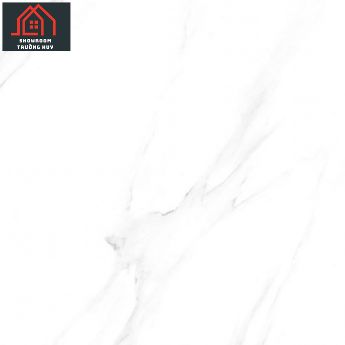 GẠCH ĐỒNG TÂM 6060DA007-FP  