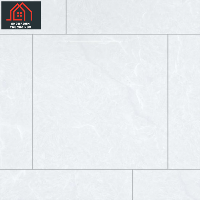 GẠCH PORCELAIN KHÁNG KHUẨN 6060DONGVAN002-FP-H+ 