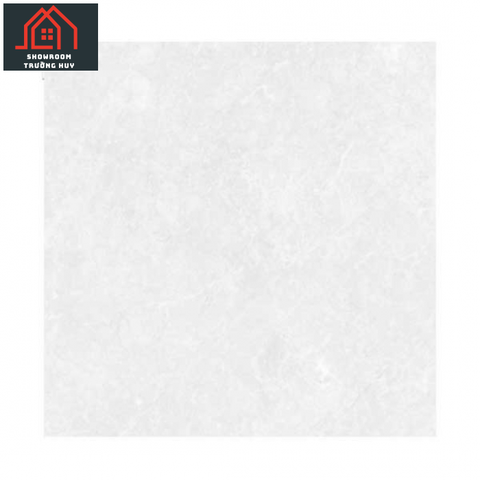 Gạch Đồng Tâm 6060TAMDAO002 