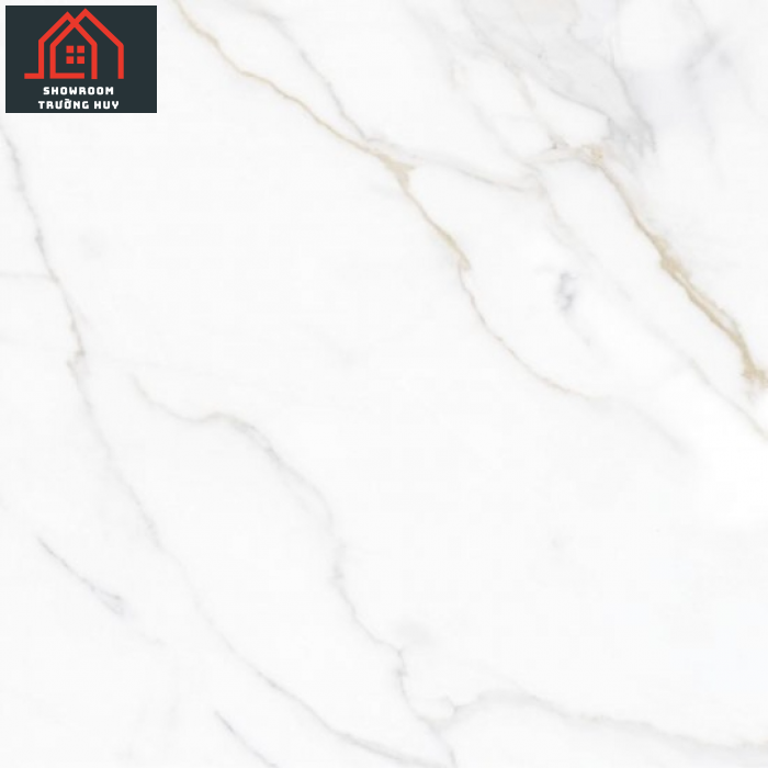 GẠCH PORCELAIN 6060VAMCODONG003