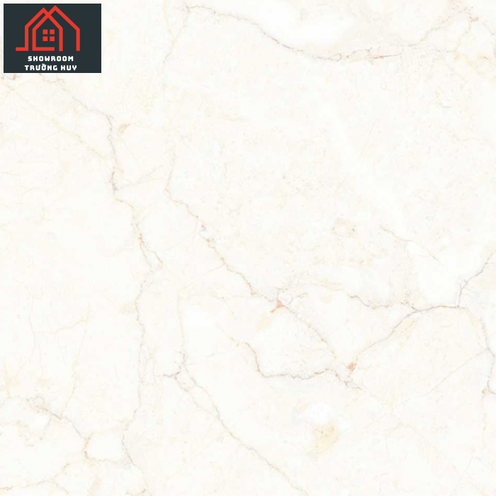 Gạch đồng tâm 6060VAMCOTAY001 