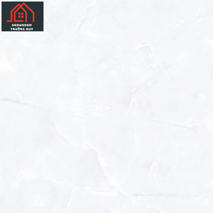 GẠCH ĐỒNG TÂM 6060VAMCOTAY002 