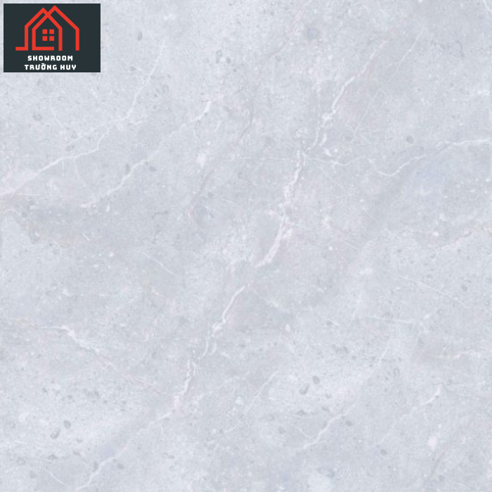 GẠCH ĐỒNG TÂM 6060VAMCOTAY003  