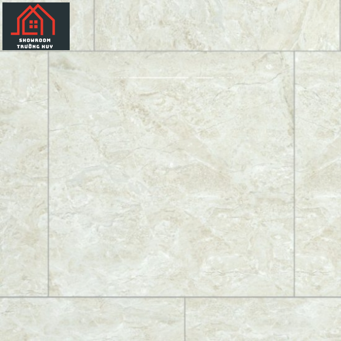 GẠCH ĐỒNG TÂM PORCELAIN KHÁNG KHUẨN 8080DONGVAN003-FP-H+  