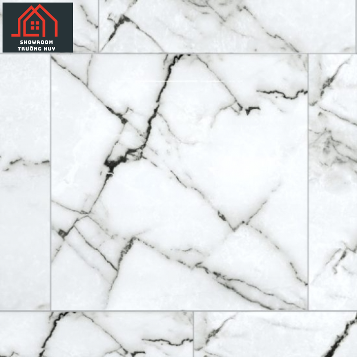  GẠCH ĐỒNG TÂM PORCELAIN KHÁNG KHUẨN 8080DONGVAN004-FP-H+
