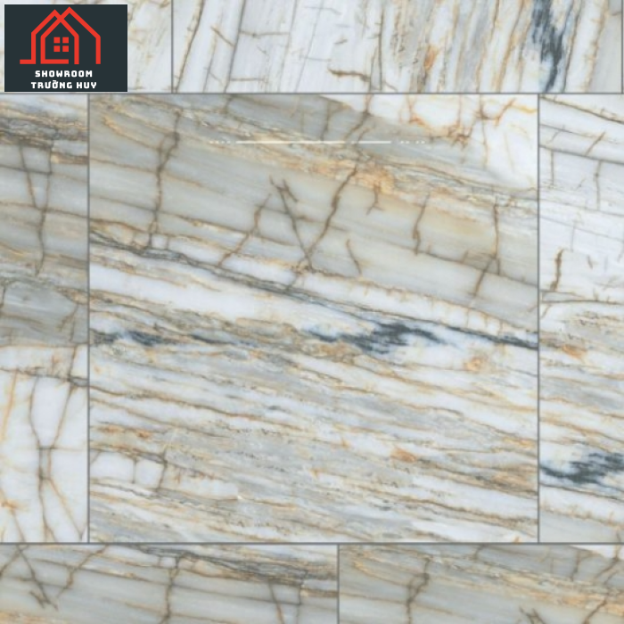  GẠCH ĐỒNG TÂM PORCELAIN KHÁNG KHUẨN 8080DONGVAN005-FP-H+  