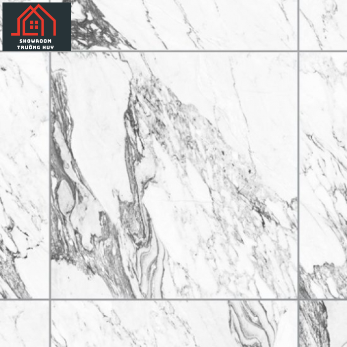 GẠCH ĐỒNG TÂM PORCELAIN KHÁNG KHUẨN 8080DONGVAN006-FP-H+ 