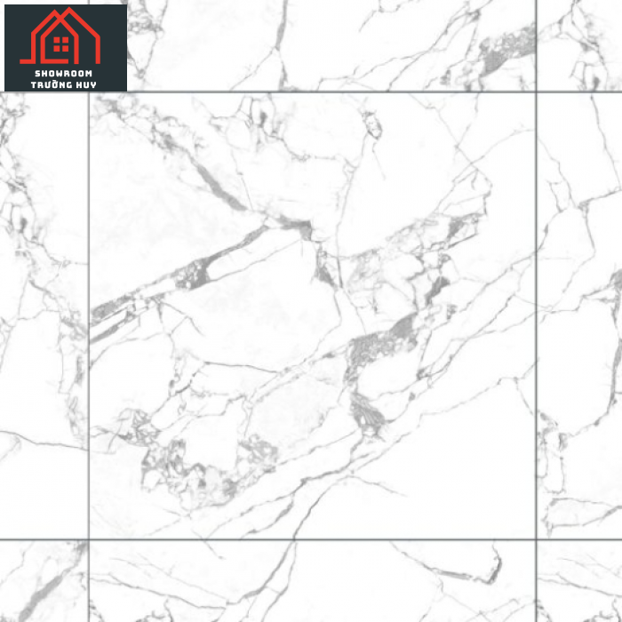 GẠCH ĐỒNG TÂM PORCELAIN KHÁNG KHUẨN 8080DONGVAN010-FP-H+ 