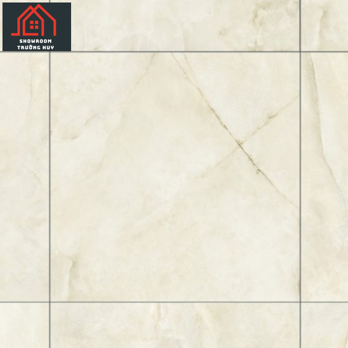 GẠCH ĐỒNG TÂM PORCELAIN KHÁNG KHUẨN 8080DONGVAN007-FP-H+ 