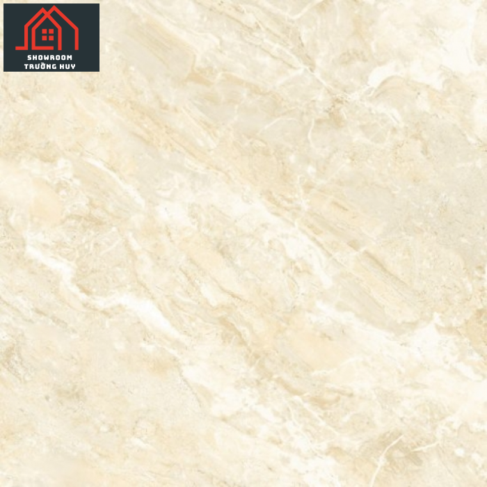 GẠCH ĐỒNG TÂM PORCELAIN 8080FANSIPAN005-FP-H+  
