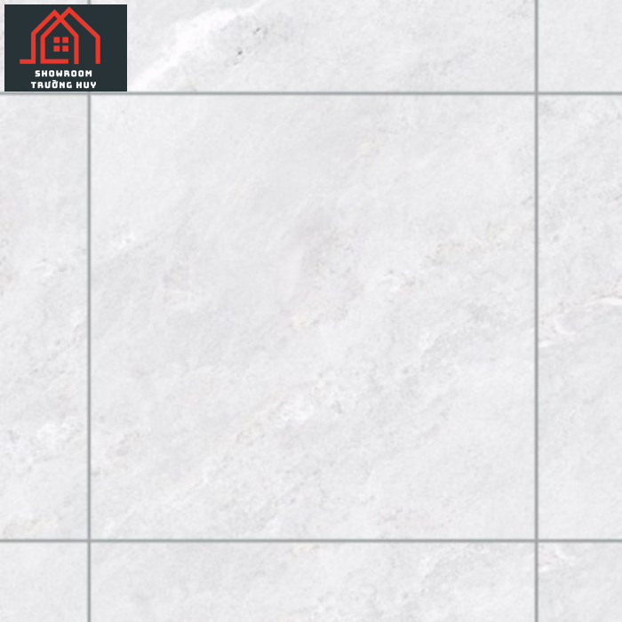 GẠCH ĐỒNG TÂM PORCELAIN KHÁNG KHUẨN 8080PHARAON002-H+  