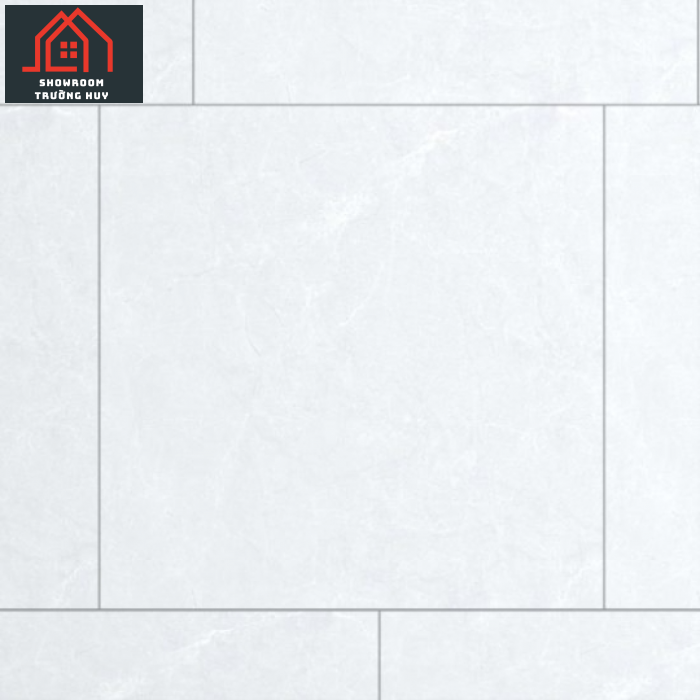 GẠCH ĐỒNG TÂM PORCELAIN KHÁNG KHUẨN 8080PHARAON006-H+