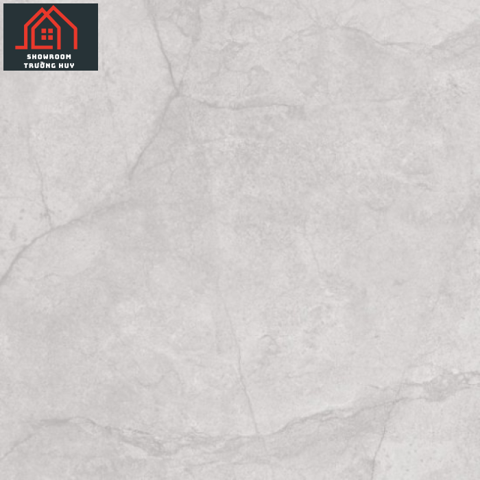 GẠCH ĐỒNG TÂM PORCELAIN 8080ROME003-H+  