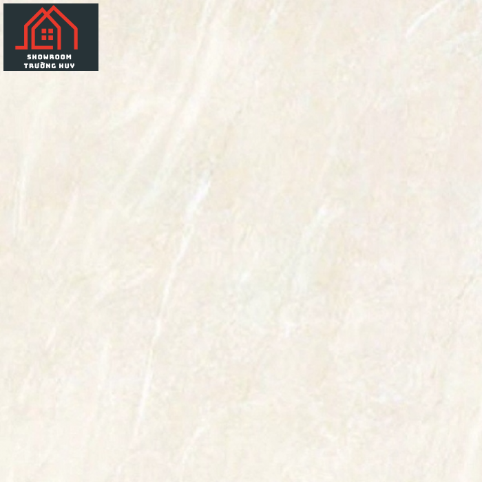 GẠCH ĐỒNG TÂM 6060TAMDAO002  